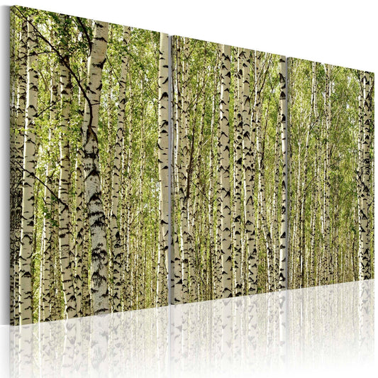 Canvas Print - A forest of birch trees - www.trendingbestsellers.com