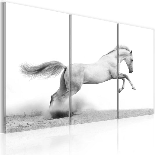Canvas Print - A galloping horse - www.trendingbestsellers.com