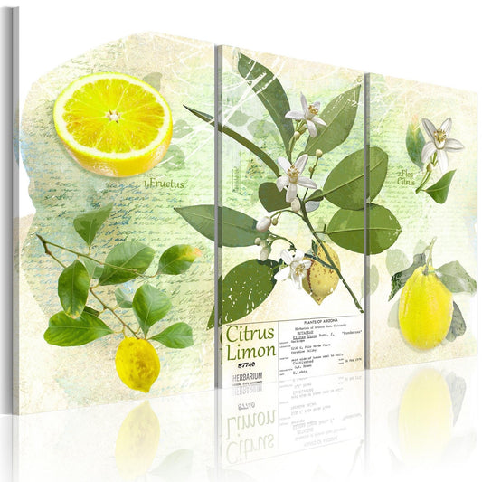 Canvas Print - Fruit: lemon - www.trendingbestsellers.com