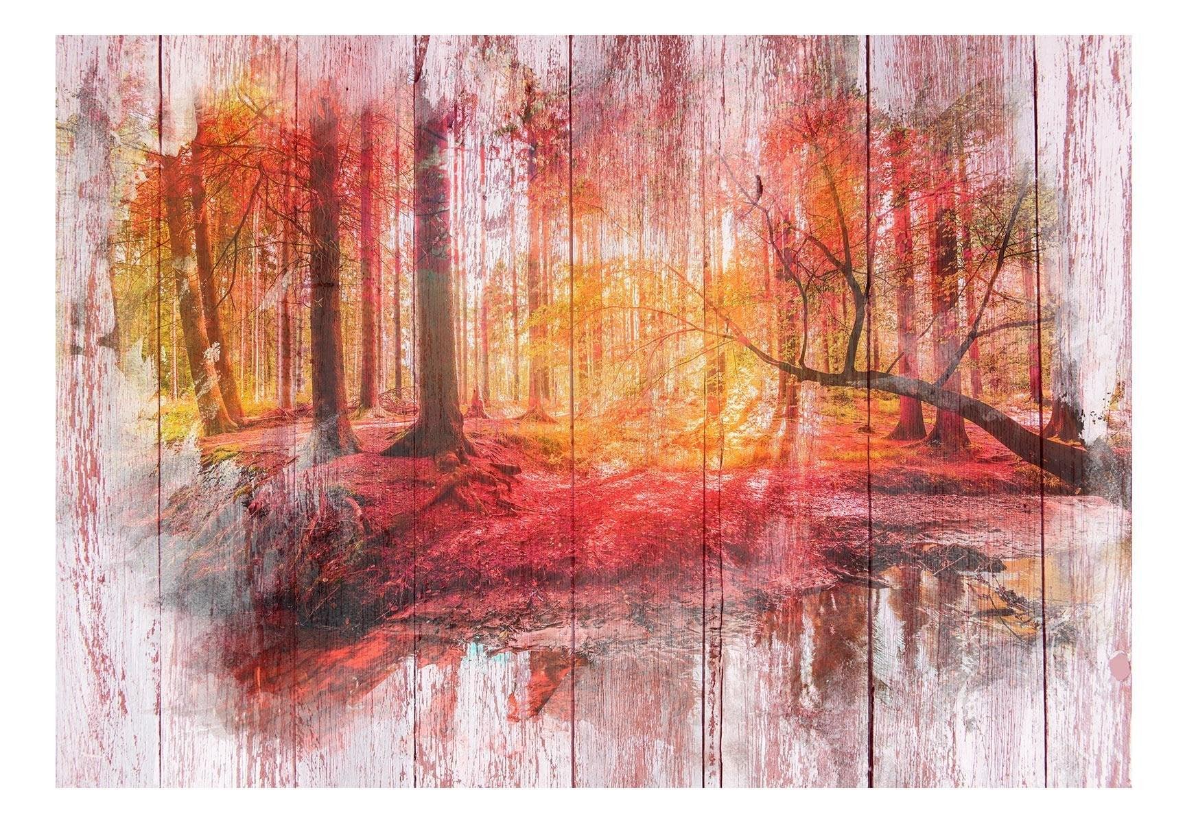 Peel and stick wall mural - Autumnal Forest - www.trendingbestsellers.com