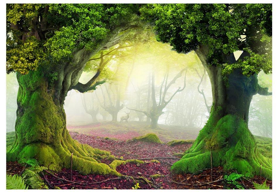 Peel and stick wall mural - Enchanted forest - www.trendingbestsellers.com
