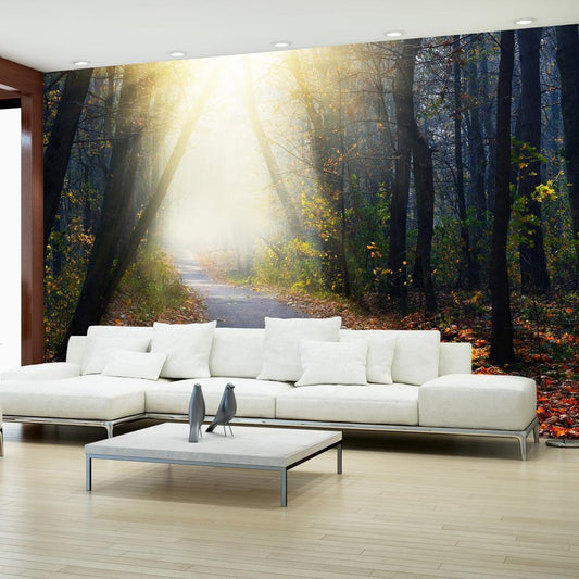 Peel and stick wall mural - Road through the Forest - www.trendingbestsellers.com