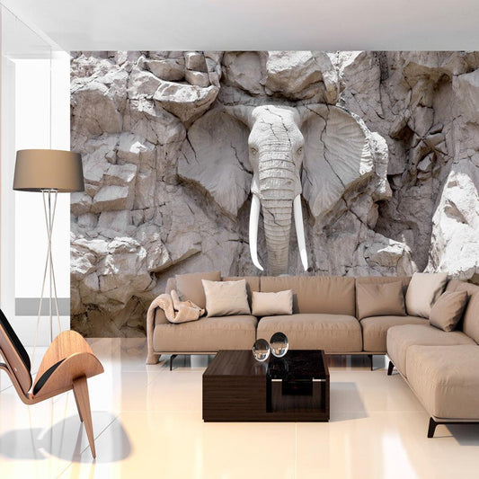 Peel and stick wall mural - The Bridge of Time (South Africa) - www.trendingbestsellers.com
