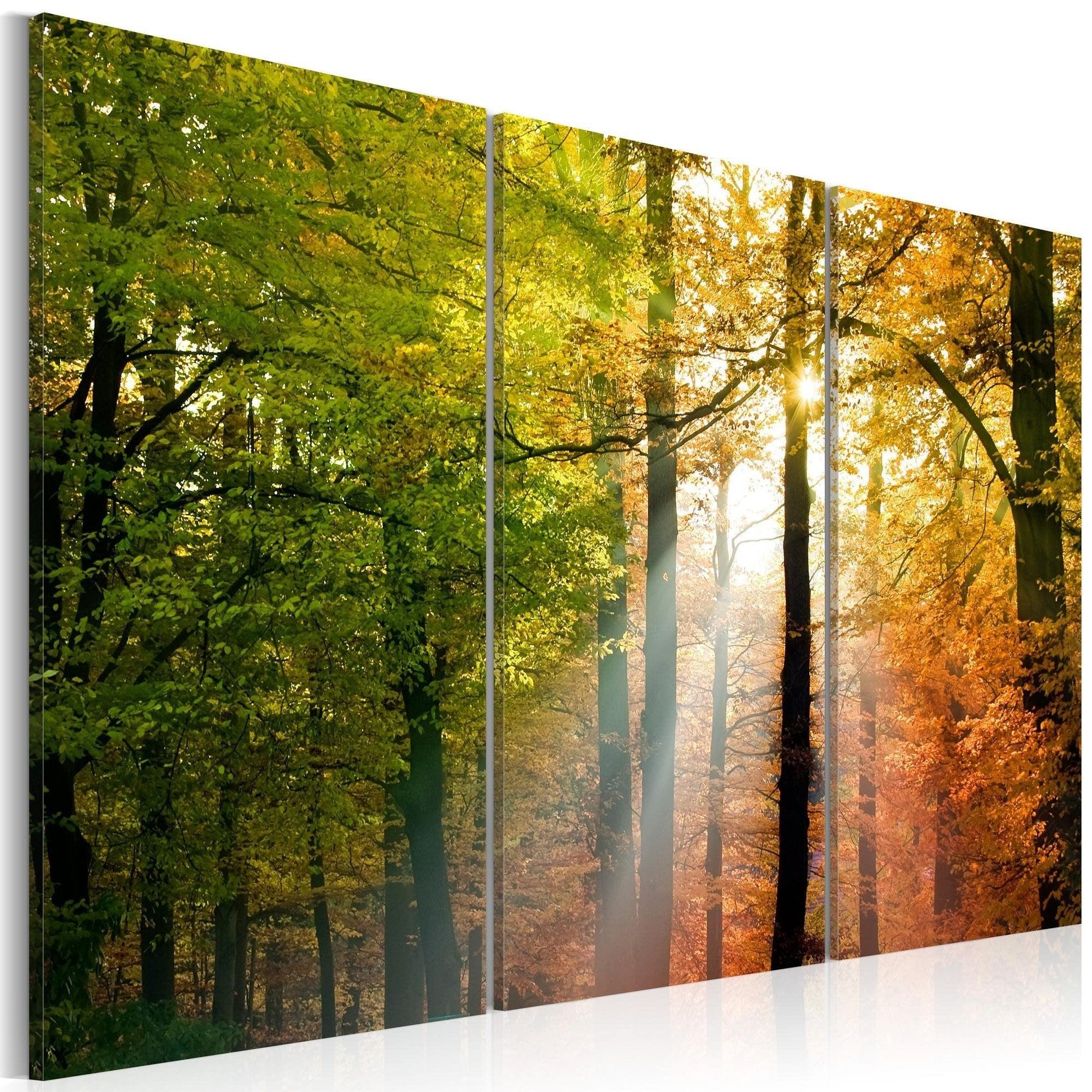 Canvas Print - A calm autumn forest - www.trendingbestsellers.com