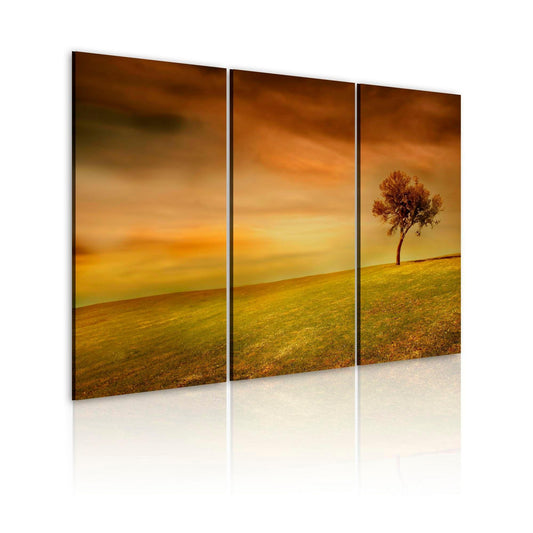 Canvas Print - A lonely tree on a meadow - www.trendingbestsellers.com
