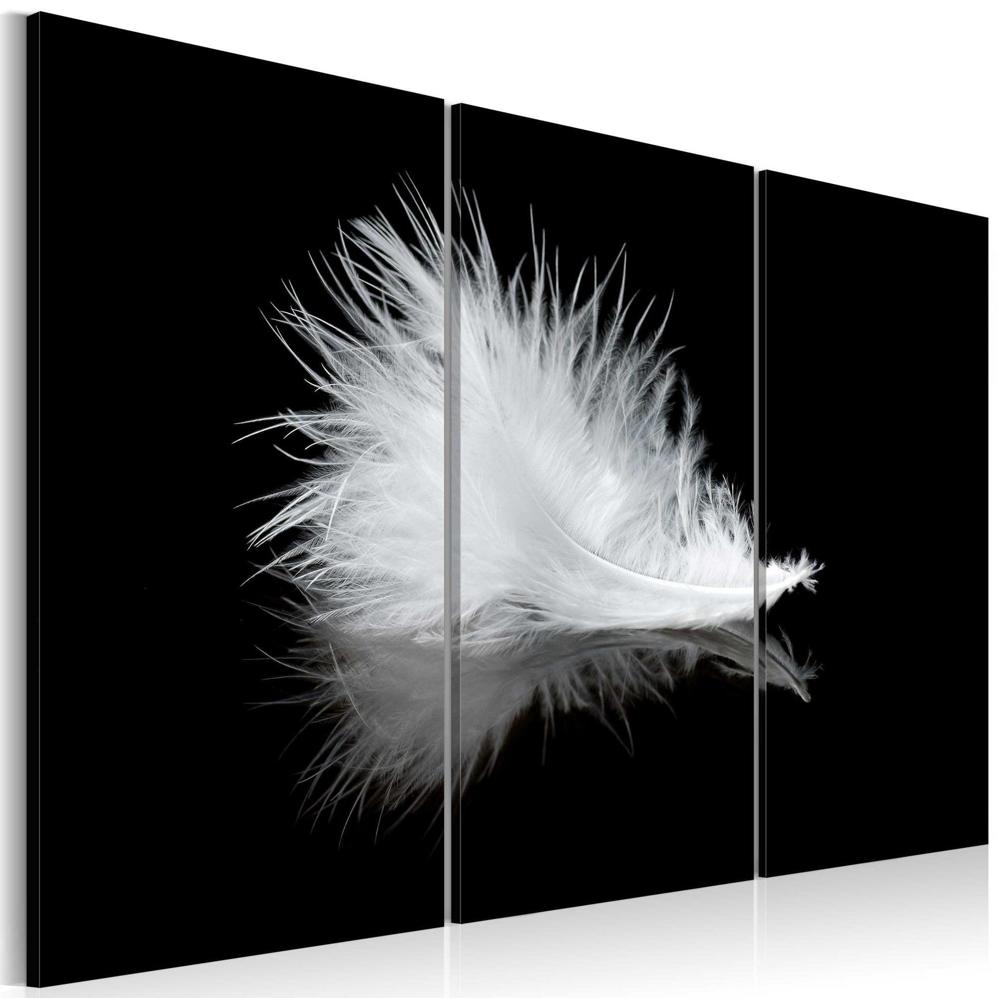 Canvas Print - A small feather - www.trendingbestsellers.com