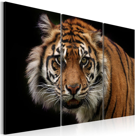 Canvas Print - A wild tiger - www.trendingbestsellers.com