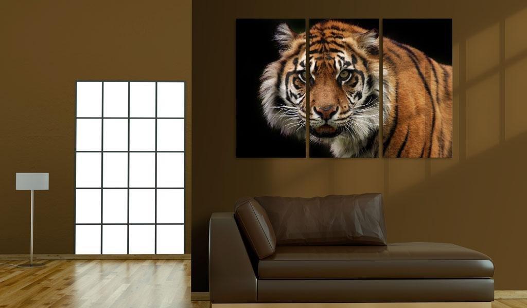 Canvas Print - A wild tiger - www.trendingbestsellers.com