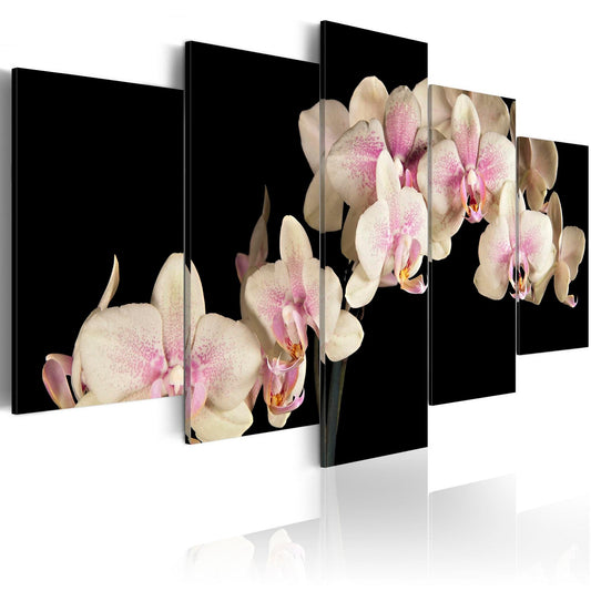 Canvas Print - An orchid on a contrasting background - www.trendingbestsellers.com