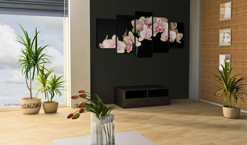 Canvas Print - An orchid on a contrasting background - www.trendingbestsellers.com