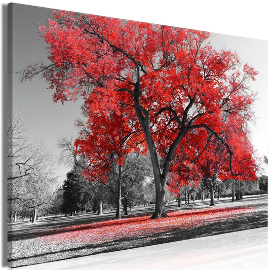 Canvas Print - Autumn in the Park (1 Part) Wide Red - www.trendingbestsellers.com