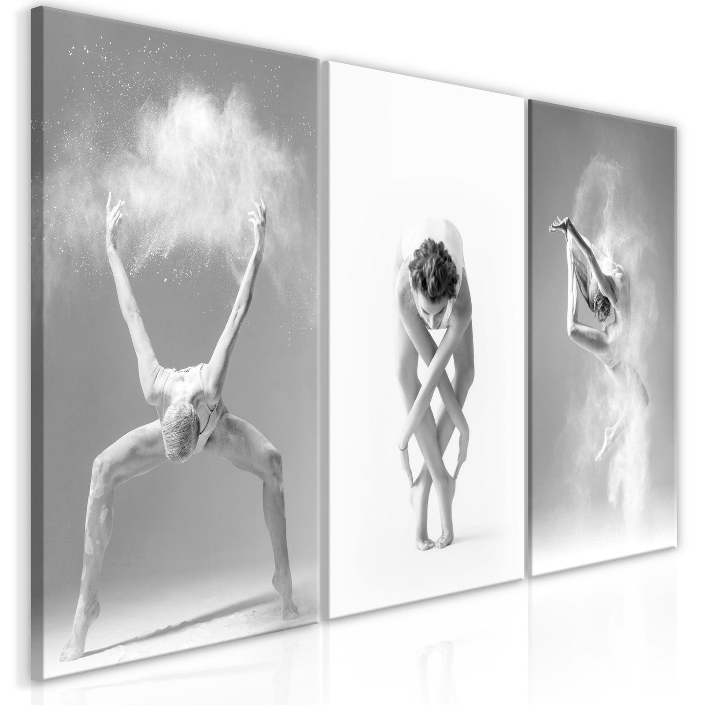 Canvas Print - Ballet (Collection) - www.trendingbestsellers.com
