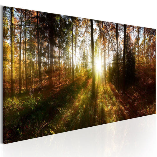 Canvas Print - Beautiful Forest - www.trendingbestsellers.com