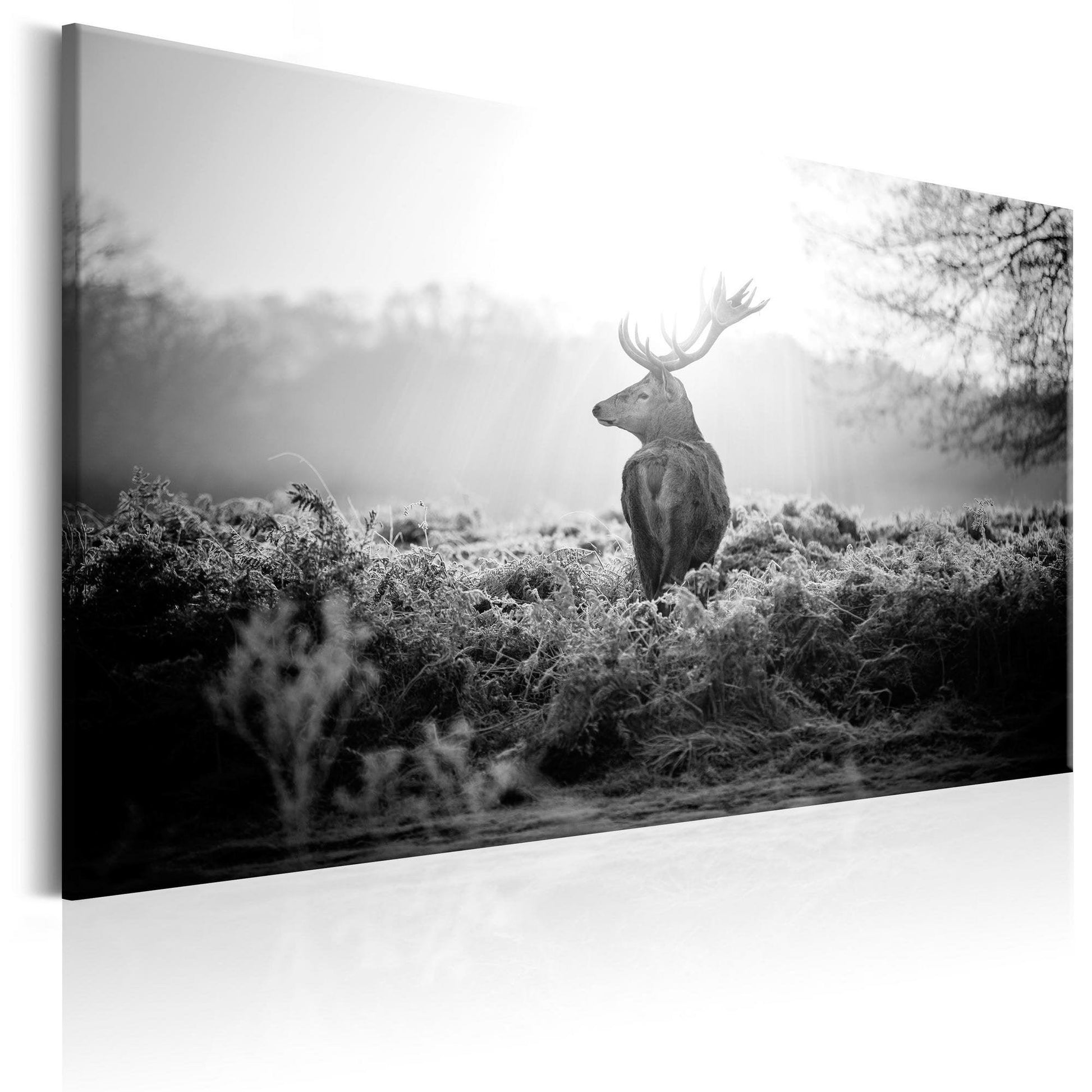 Canvas Print - Black and White Deer - www.trendingbestsellers.com