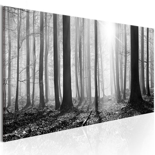 Canvas Print - Black and White Forest - www.trendingbestsellers.com