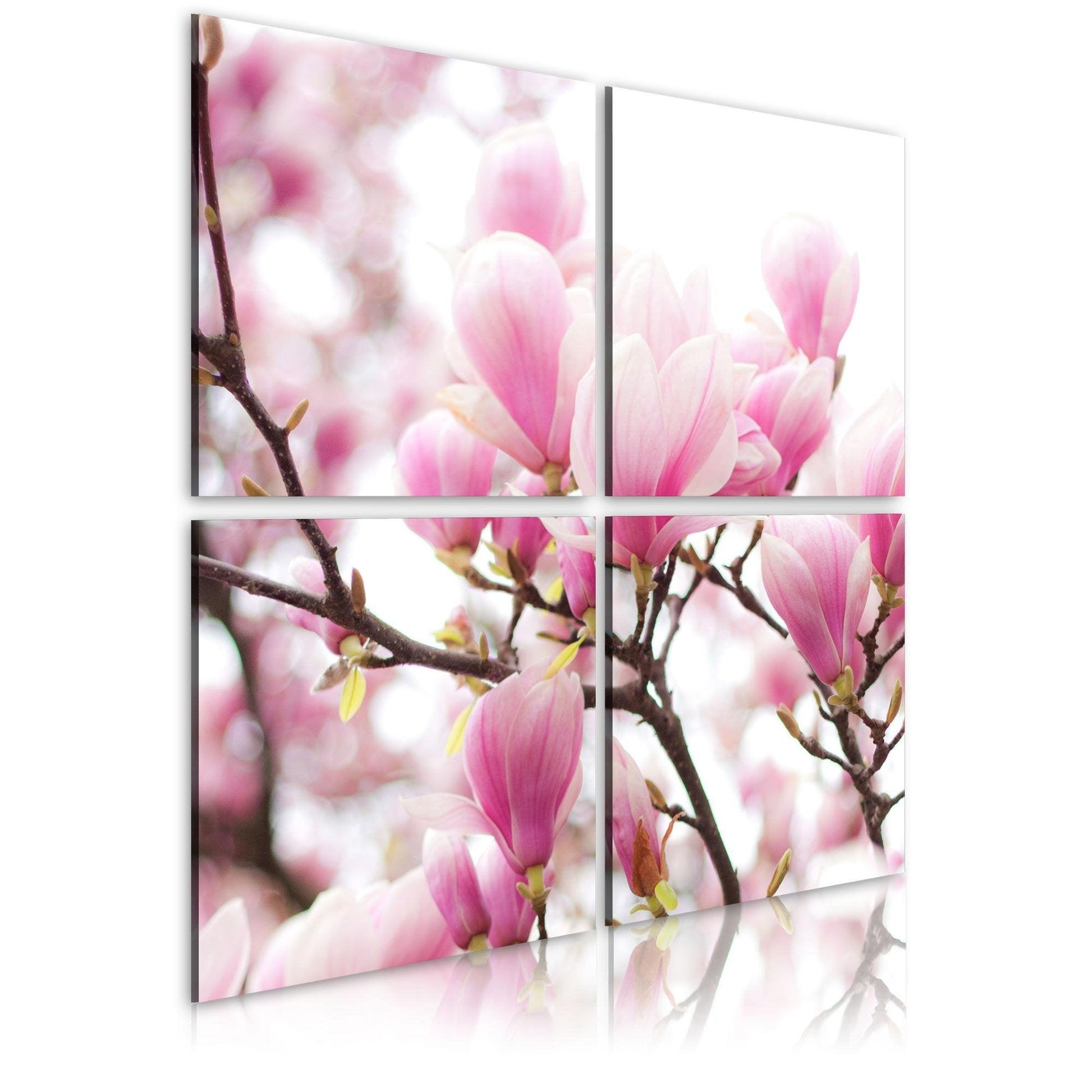 Canvas Print - Blooming magnolia tree - www.trendingbestsellers.com