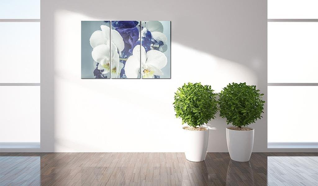Canvas Print - Chimerical orchids - www.trendingbestsellers.com