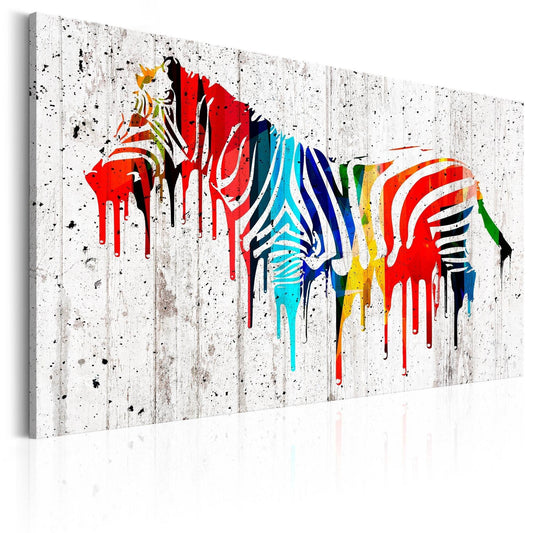 Canvas Print - Colourful Zebra - www.trendingbestsellers.com