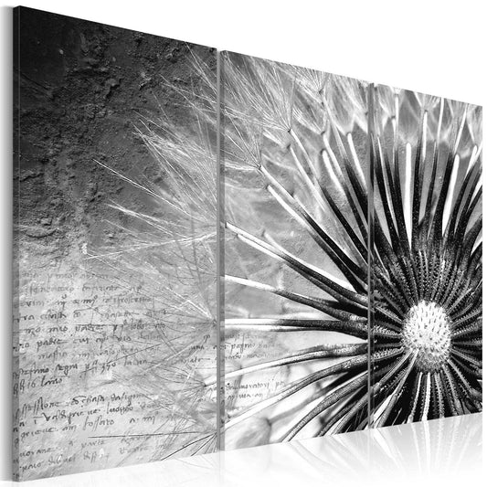 Canvas Print - dandelion (black and white) - www.trendingbestsellers.com