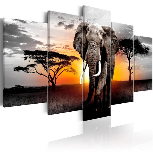 Canvas Print - Elephant at Sunset - www.trendingbestsellers.com