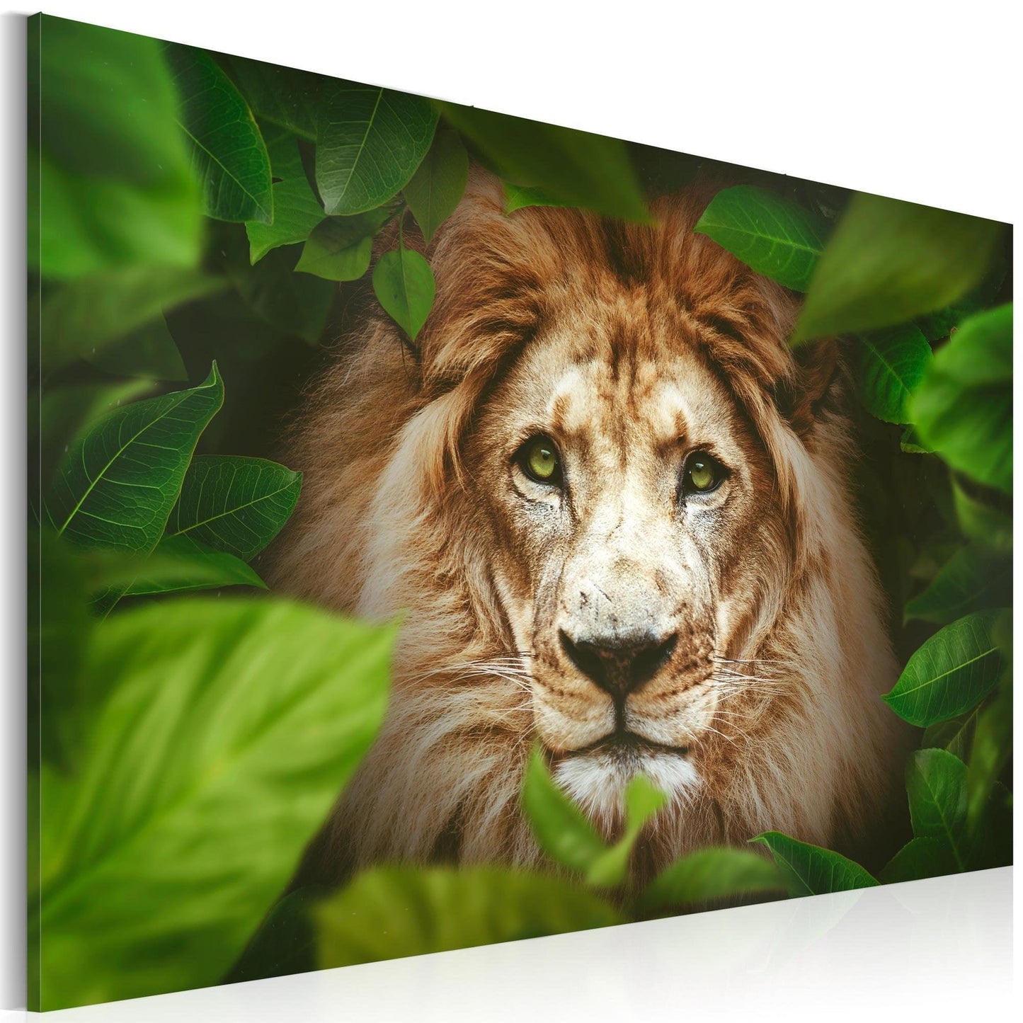 Canvas Print - Eyes of the jungle - www.trendingbestsellers.com