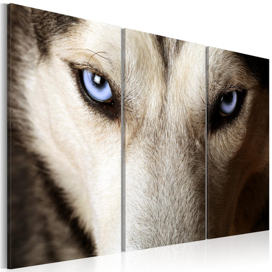 Canvas Print - Face to face with fear - www.trendingbestsellers.com