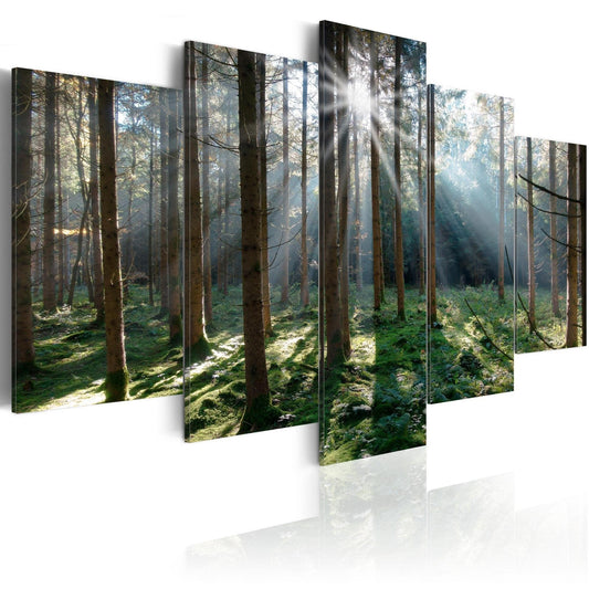 Canvas Print - Fairytale Forest - www.trendingbestsellers.com