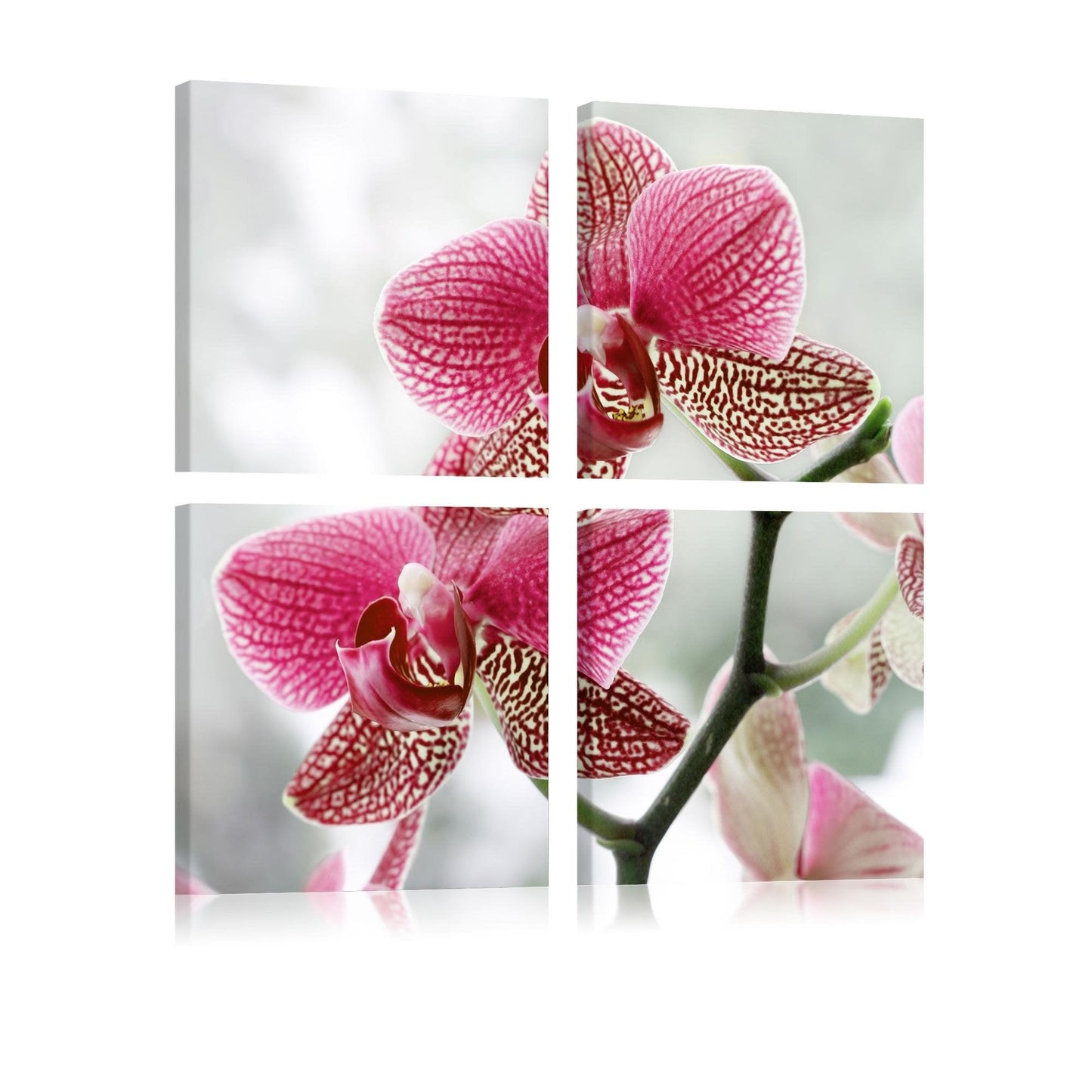 Canvas Print - Fancy orchid - www.trendingbestsellers.com