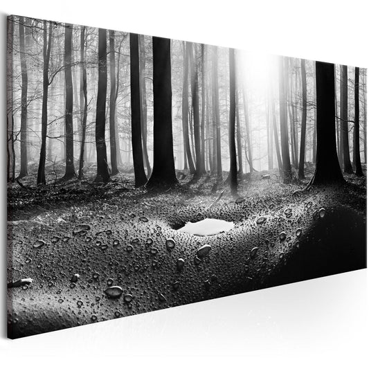 Canvas Print - Forest after Rain (1 Part) Narrow - www.trendingbestsellers.com