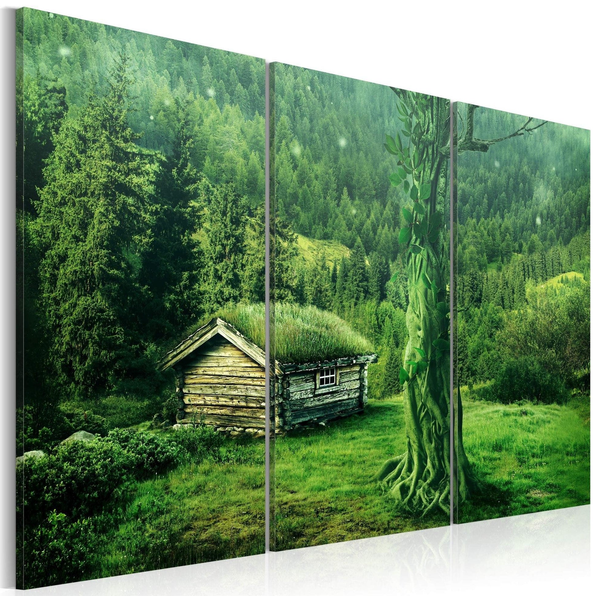 Canvas Print - Forest ecosystem - www.trendingbestsellers.com