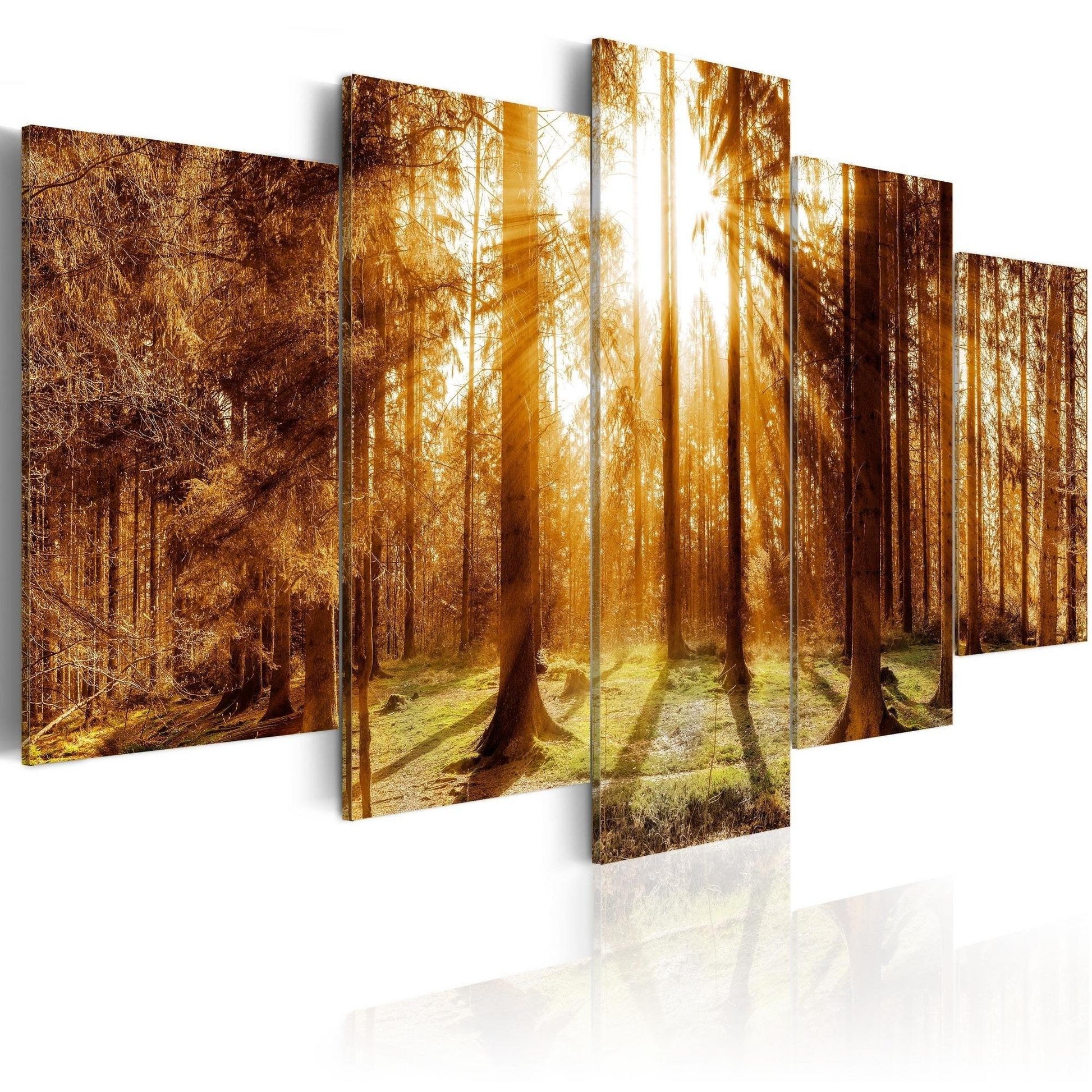 Canvas Print - Forest Illumination - www.trendingbestsellers.com