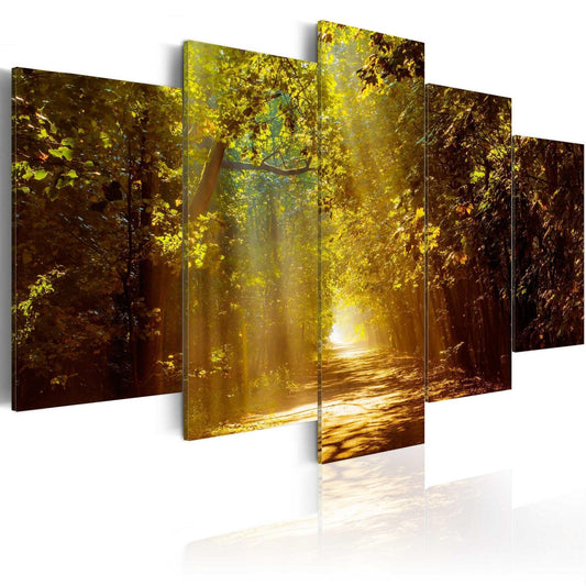 Canvas Print - Forest in the Sunlight - www.trendingbestsellers.com