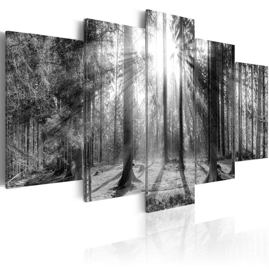 Canvas Print - Forest of Memories - www.trendingbestsellers.com