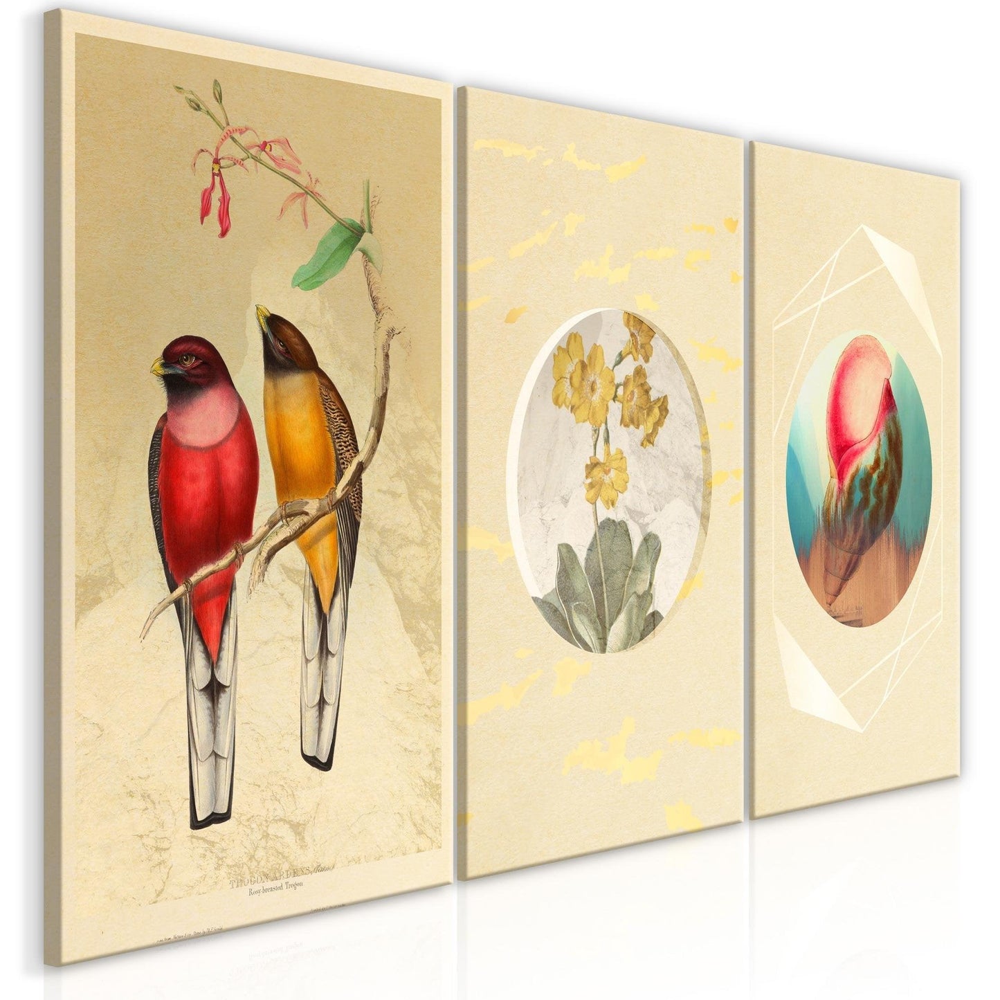 Canvas Print - Forms in Nature (3 Parts) - www.trendingbestsellers.com