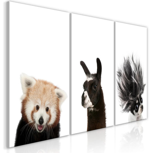 Canvas Print - Friendly Animals (Collection) - www.trendingbestsellers.com