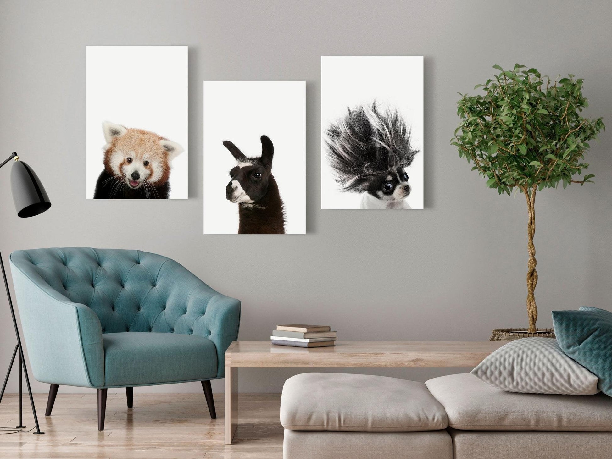 Canvas Print - Friendly Animals (Collection) - www.trendingbestsellers.com