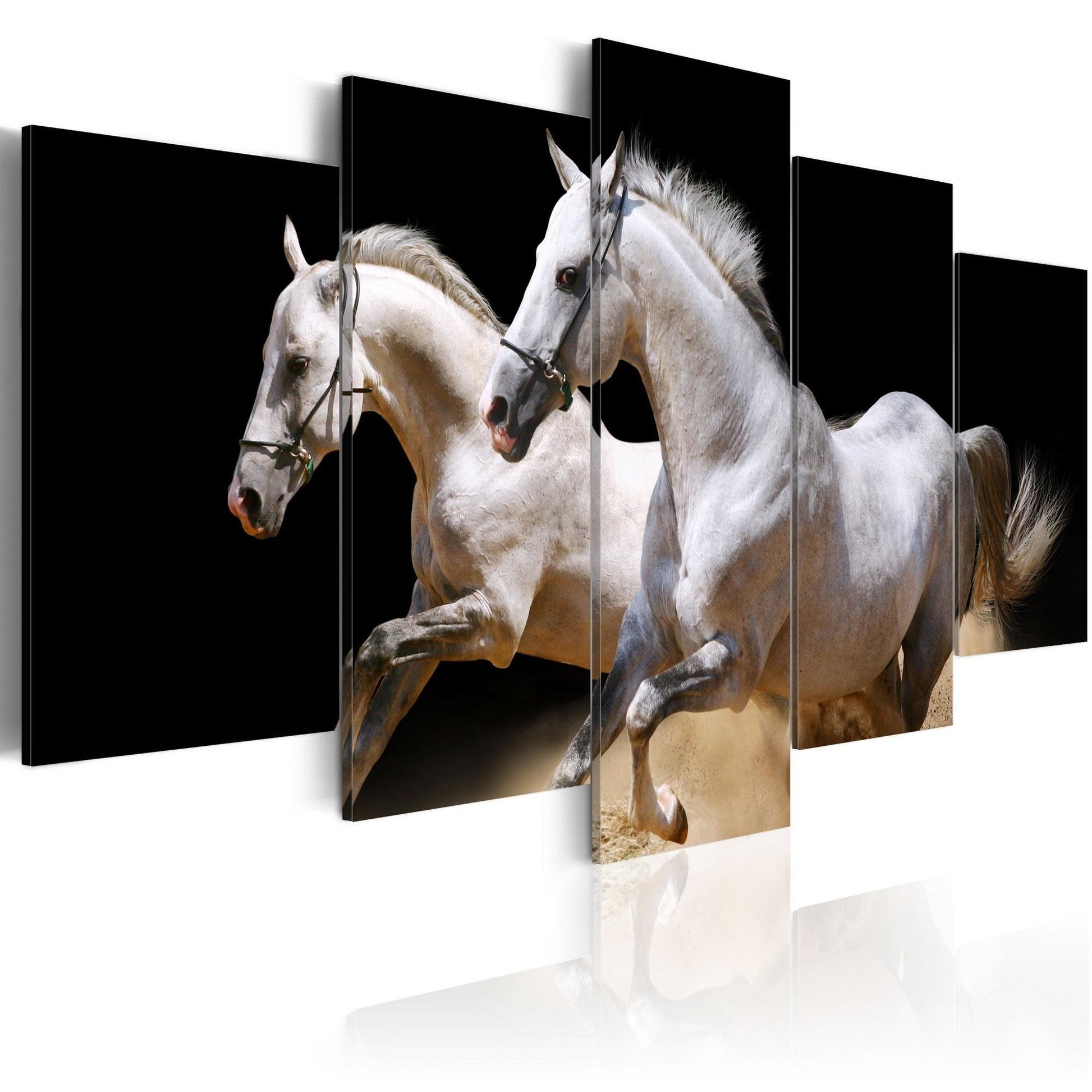 Canvas Print - Gallop- freedom and power - www.trendingbestsellers.com