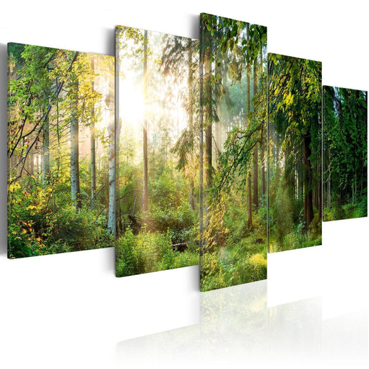 Canvas Print - Green Sanctuary - www.trendingbestsellers.com
