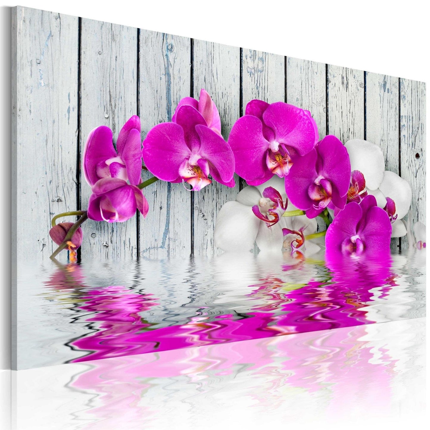 Canvas Print - harmony: orchid - www.trendingbestsellers.com