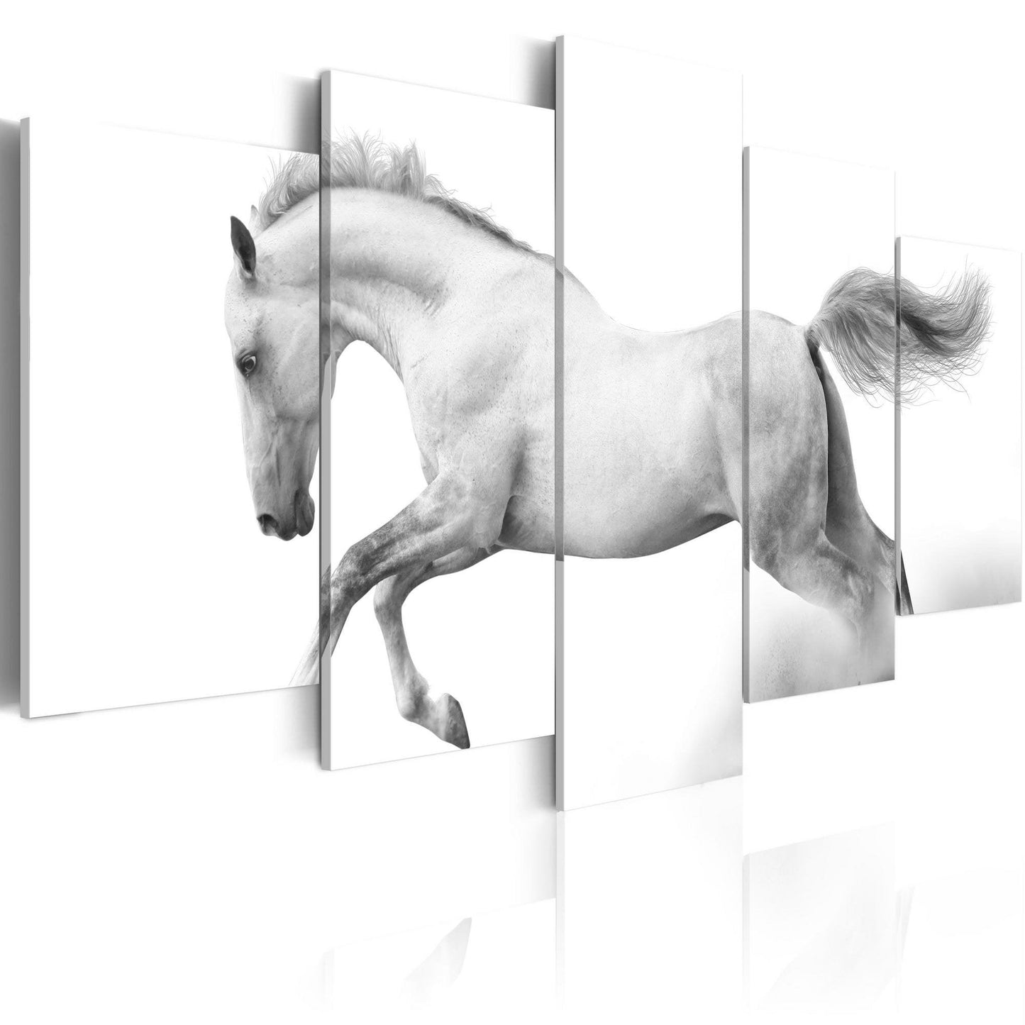 Canvas Print - Horse- passion and freedom - www.trendingbestsellers.com