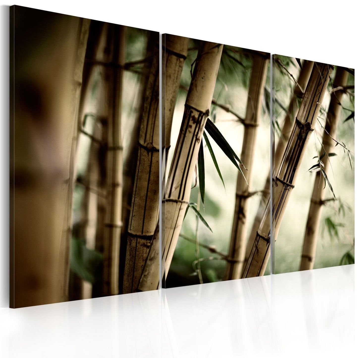 Canvas Print - In a tropical forest - www.trendingbestsellers.com