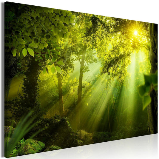 Canvas Print - In the Sunshine (1 Part) Wide - www.trendingbestsellers.com