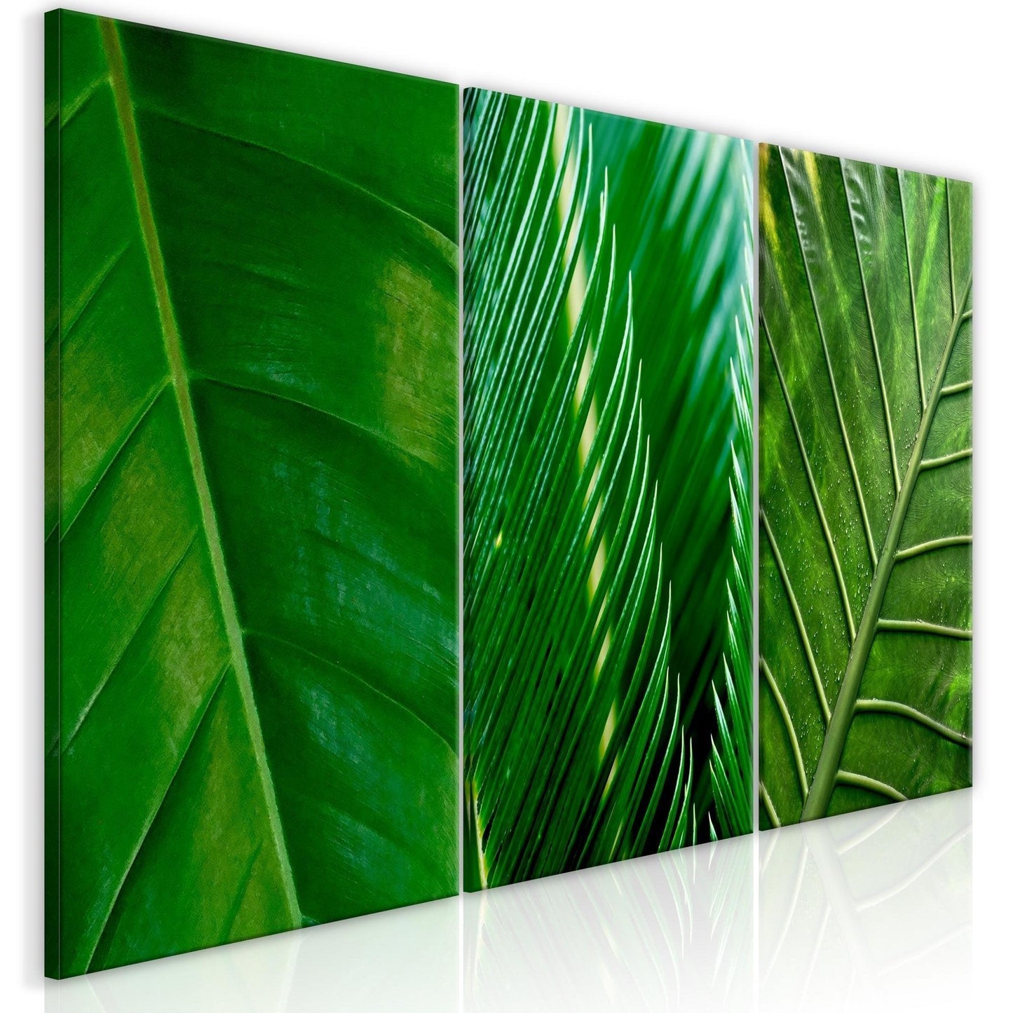 Canvas Print - Leaves (Collection) - www.trendingbestsellers.com