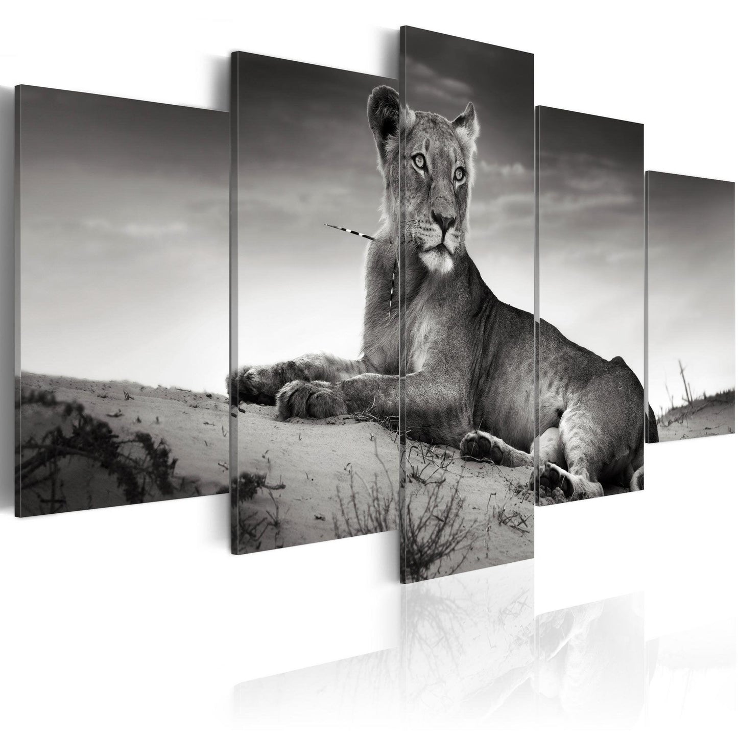 Canvas Print - Lioness in a desert - www.trendingbestsellers.com