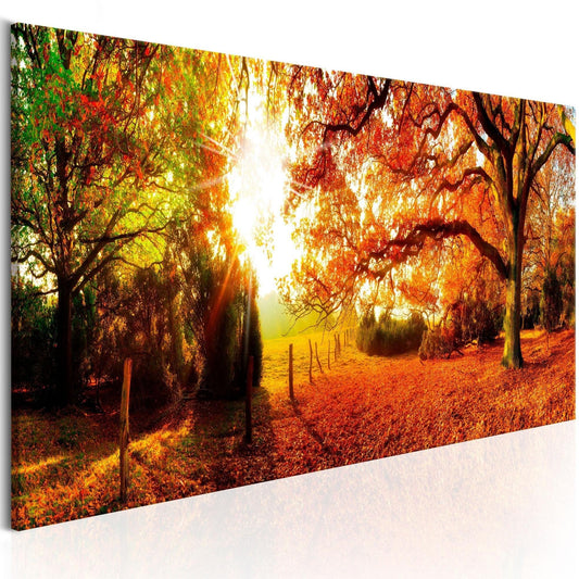 Canvas Print - Magic of Autumn - www.trendingbestsellers.com