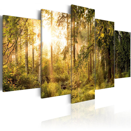 Canvas Print - Magic of Forest - www.trendingbestsellers.com