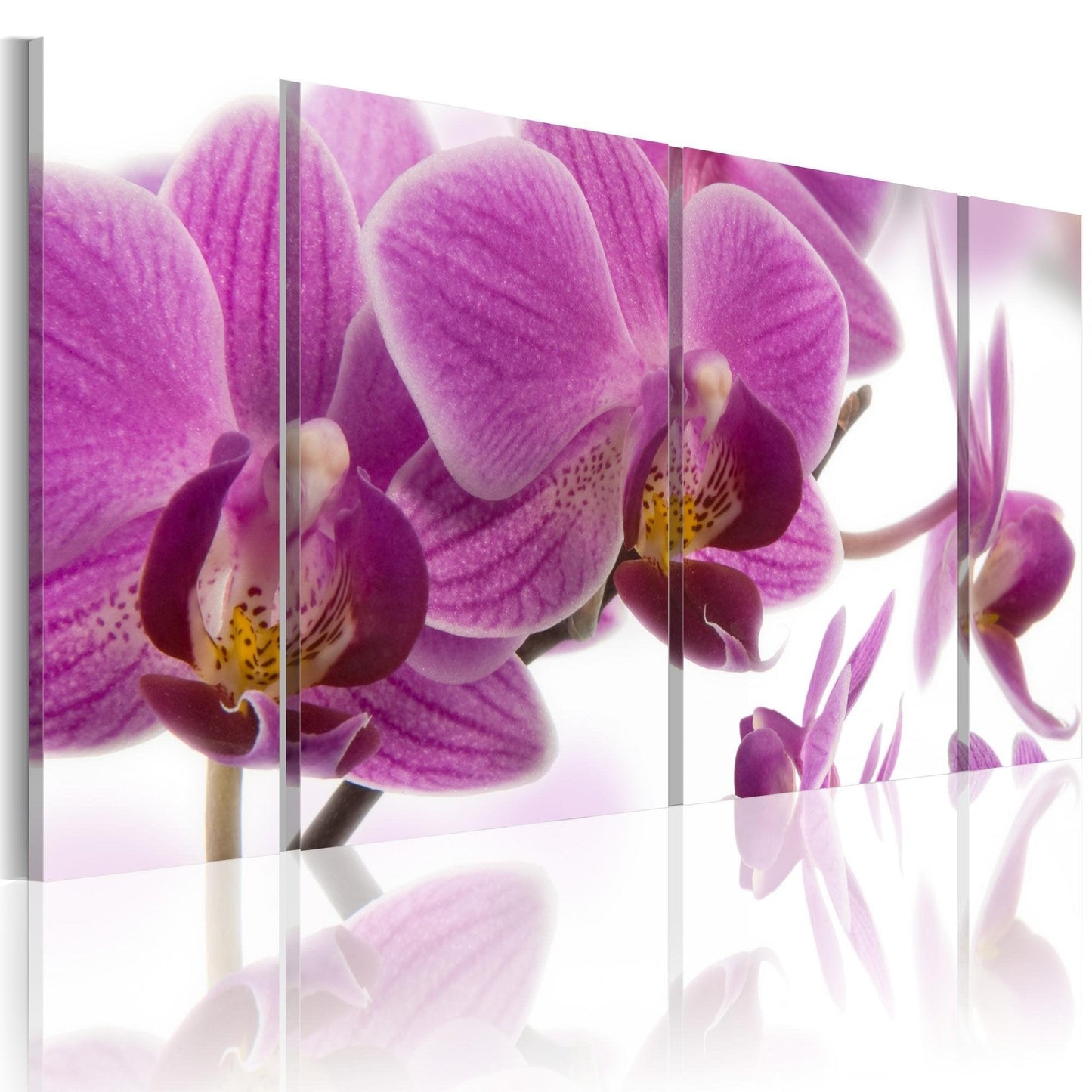 Canvas Print - Marvelous orchid - www.trendingbestsellers.com