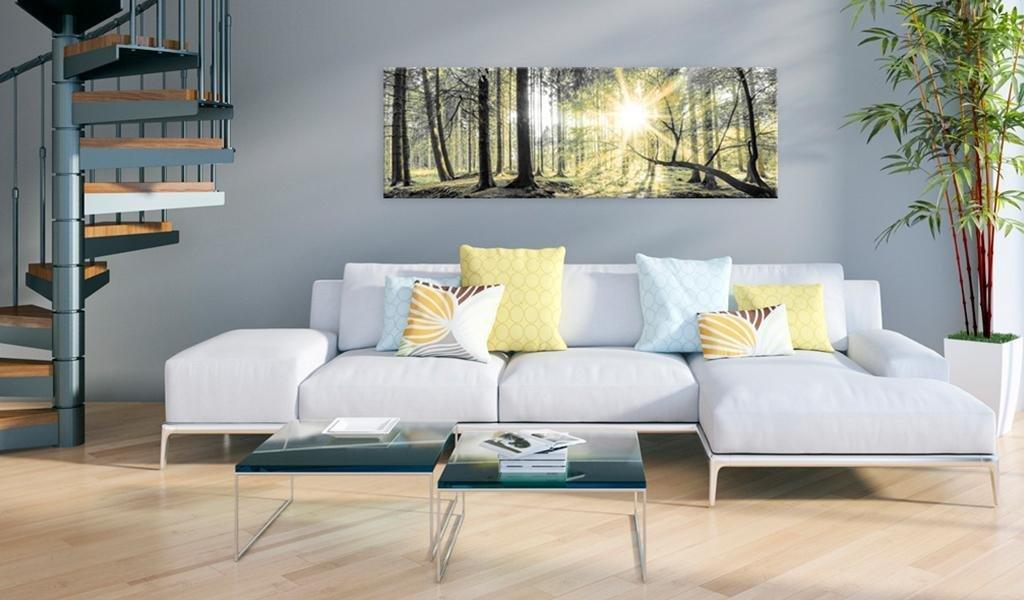 Canvas Print - Morning Forest - www.trendingbestsellers.com