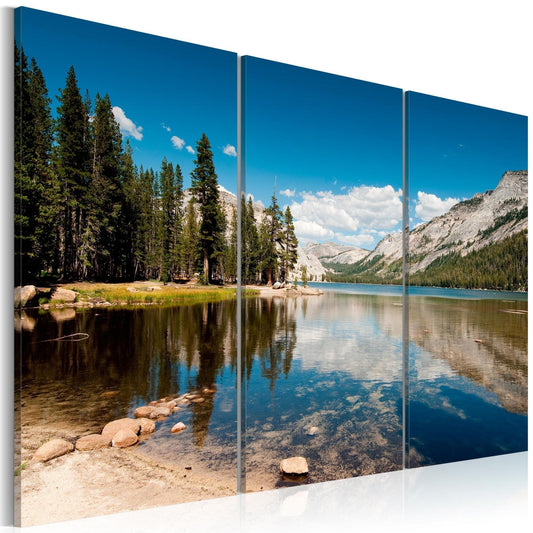 Canvas Print - Mountains, trees and pure lake - www.trendingbestsellers.com