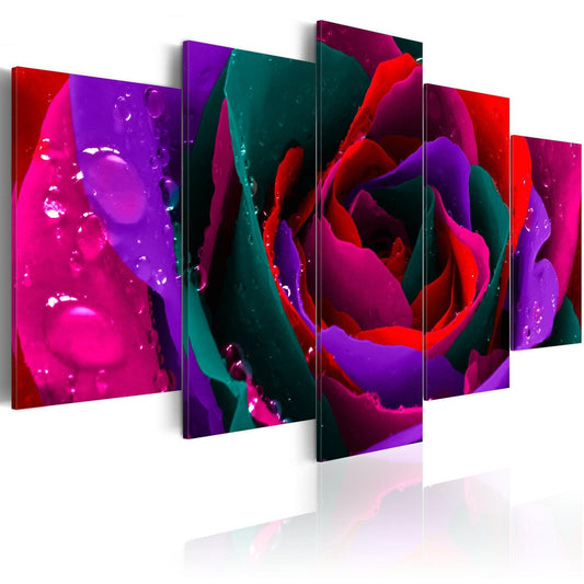Canvas Print - Multicoloured rose - www.trendingbestsellers.com